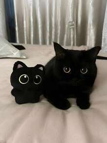 POKOJA LAND Llavero de peluche de gato negro lindo, muñeco de peluche de gato pequeño súper adorable, cadena de perlas aleatoria, mejor regalo para niños, regalos perfectos para cumpleaños, decoraciones de Halloween, regalos de Navidad, decoración del hogar, decoraciones navideñas de primavera a verano - Multicolor - Ver 4