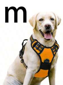 Cinto de Segurança para Cachorro Rabbitgoo, Colete Acolchoado e Reflexivo com 2 Clipes Ajustáveis de Cinto de Segurança, Arnês Respirável Sem Puxão com Alça para Cachorros Pequenos/Médios/Grandes - Multicolorido - Visão 48