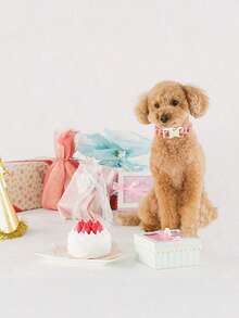 优雅小尾巴狗狗项圈 可爱草莓宠物项圈 可调节狗狗项圈 - 西瓜粉 - 查看 5