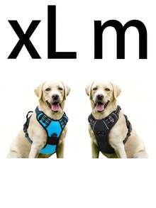Cinto de Segurança para Cachorro Rabbitgoo, Colete Acolchoado e Reflexivo com 2 Clipes Ajustáveis de Cinto de Segurança, Arnês Respirável Sem Puxão com Alça para Cachorros Pequenos/Médios/Grandes - Multicolorido - Visão 47