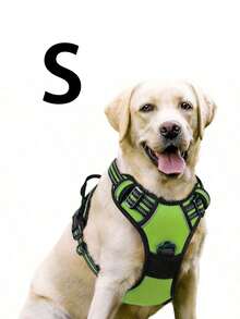 Cinto de Segurança para Cachorro Rabbitgoo, Colete Acolchoado e Reflexivo com 2 Clipes Ajustáveis de Cinto de Segurança, Arnês Respirável Sem Puxão com Alça para Cachorros Pequenos/Médios/Grandes - Multicolorido - Visão 33