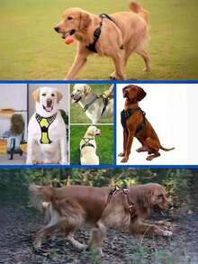 Cinto de Segurança para Cachorro Rabbitgoo, Colete Acolchoado e Reflexivo com 2 Clipes Ajustáveis de Cinto de Segurança, Arnês Respirável Sem Puxão com Alça para Cachorros Pequenos/Médios/Grandes - Multicolorido - Visão 5