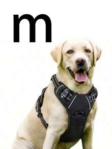 Cinto de Segurança para Cachorro Rabbitgoo, Colete Acolchoado e Reflexivo com 2 Clipes Ajustáveis de Cinto de Segurança, Arnês Respirável Sem Puxão com Alça para Cachorros Pequenos/Médios/Grandes - Multicolorido - Visão 25
