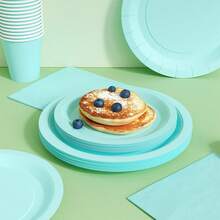 婴儿蓝一次性餐盘、餐巾纸和杯子，派对用品套装，可供 24 人使用，一次性纸质派对餐具，适合生日、婚礼、主题派对、家庭野餐。 - 查看 4