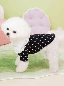 PETSIN 宠物春季新款狗狗服装 动物用品 宠物服装 狗狗背心 猫咪T恤 泰迪熊套装 小型动物服装 休闲酷炫背心 狗狗服装 猫咪服装 春夏两季新款背心 - 彩色 - 查看 15