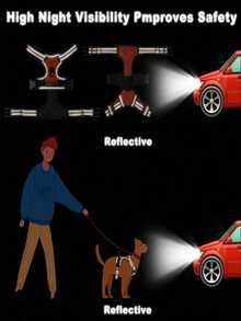 Cinto de Segurança para Cachorro Rabbitgoo, Colete Acolchoado e Reflexivo com 2 Clipes Ajustáveis de Cinto de Segurança, Arnês Respirável Sem Puxão com Alça para Cachorros Pequenos/Médios/Grandes - Multicolorido - Visão 7