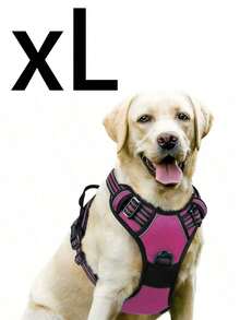 Cinto de Segurança para Cachorro Rabbitgoo, Colete Acolchoado e Reflexivo com 2 Clipes Ajustáveis de Cinto de Segurança, Arnês Respirável Sem Puxão com Alça para Cachorros Pequenos/Médios/Grandes - Multicolorido - Visão 24