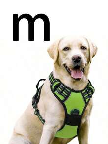 Cinto de Segurança para Cachorro Rabbitgoo, Colete Acolchoado e Reflexivo com 2 Clipes Ajustáveis de Cinto de Segurança, Arnês Respirável Sem Puxão com Alça para Cachorros Pequenos/Médios/Grandes - Multicolorido - Visão 31