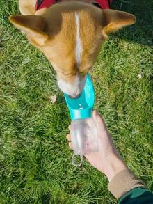 1 件宠物水碗便携式狗用饮水杯，狗用狗水瓶猫用便携式防漏小狗饮水碗分配器户外宠物饮料喂食杯用品，户外旅行水瓶狗外出狗用品（灰色款式趋向于白色） - 彩色 - 查看 6