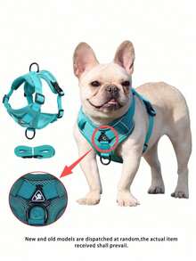 Reflective Pet Harness And Leash Set For Dog & Cat, Escape Proof Adjustable Small Dog Harness With Soft Mesh - Green - View 3