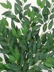 23件仿真绿色植物，含绿叶、沙生银叶菊（Elaeagnus Ajuga）煎剂叶片、仿真花卉、植物和枣树叶花束配件 - 綠色 - 查看 6