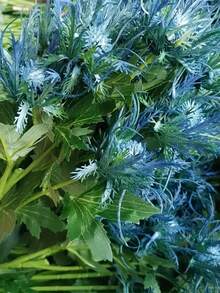 5支浅蓝色仿真蓟花喷雾，触感逼真，塑料海蓟仿真植物，非常适合婚礼、订婚、家居、餐桌、节日、母亲节、新娘捧花、花环和中心装饰。 - 淺藍色 - 查看 5