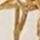 Dorado