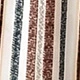 Multicolor