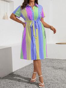 Ceyna Plus Size Summer Casual Striped Button Up Shirt Dress Maxi Women Outfit - Multicolor - View 6
