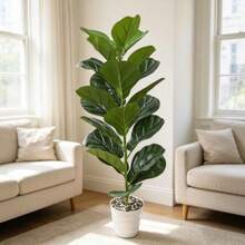 1PC Artificial Small Fiddle Leaf Fig Tree (Pot Not Included), Lifelike Tropical Ficus Violin Leaf Artificial Plant, Perfect For Home, Office, Balcony, Garden, Wedding, Party And Holiday Decor - Multicolor - View 4