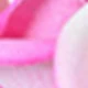 Pink and White