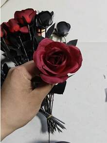 Đỏ và đen