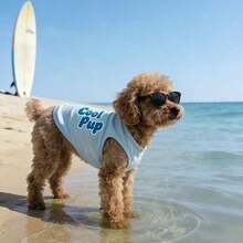 PETSIN 宠物春季新款狗狗服装 动物用品 宠物服装 狗狗背心 猫咪T恤 泰迪熊套装 小型动物服装 休闲酷炫背心 狗狗服装 猫咪服装 春夏两季新款背心 - 彩色 - 查看 10