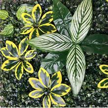 1 Peça Painel de Parede de Planta Verde Artificial | 40x60cm | Material Plástico | Sem Necessidade de Energia ou Bateria | Decoração Doméstica e de Jardim DIY | Adequado para Pátio Externo e Decoração de Cerimônia de Formatura, Fácil de Usar, Plantas Realistas - Verde - Visão 15