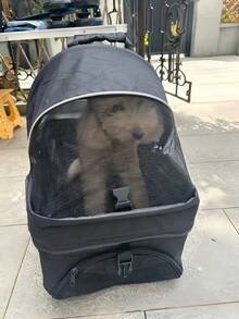 Portable Small Medium Dog Cat Pet Stroller Foldable Lightweight Travel Cart Detachable Carrier Pink Breathable Mesh Sturdy 4 Wheels Adjustable Handle For Puppy Kitty Teddy Outdoor Walking - Multicolor - View 4