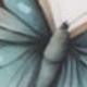 蝴蝶