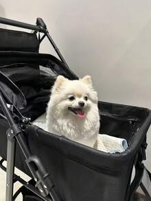 Portable Small Medium Dog Cat Pet Stroller Foldable Lightweight Travel Cart Detachable Carrier Pink Breathable Mesh Sturdy 4 Wheels Adjustable Handle For Puppy Kitty Teddy Outdoor Walking - Multicolor - View 3