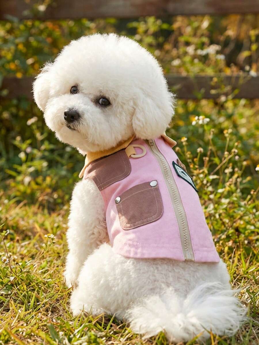Fun Patchwork Shirts, Dog Clothes, Cat Clothes, Animal Dresses, Spring And Dog Shirts, British Style Dog Clothes, European And American New Small Animal Two Legged Clothes