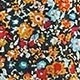 Multicolor