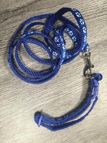 1件套小型犬猫项圈牵引绳套装，带铃铛，尺寸可调节，适合小型犬。 - 彩色 - 查看 7