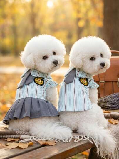 PETSIN Quần áo cho chó, quần áo cho mèo, bộ đồ cho thú cưng hai chân, quần áo đôi, váy sơ mi mới đầu mùa xuân, quần áo cho chó, quần áo cho mèo, quần áo cho động vật, quần áo mùa xuân cho chó, quần áo mới cho động vật nhỏ kiểu Châu Âu và Mỹ.