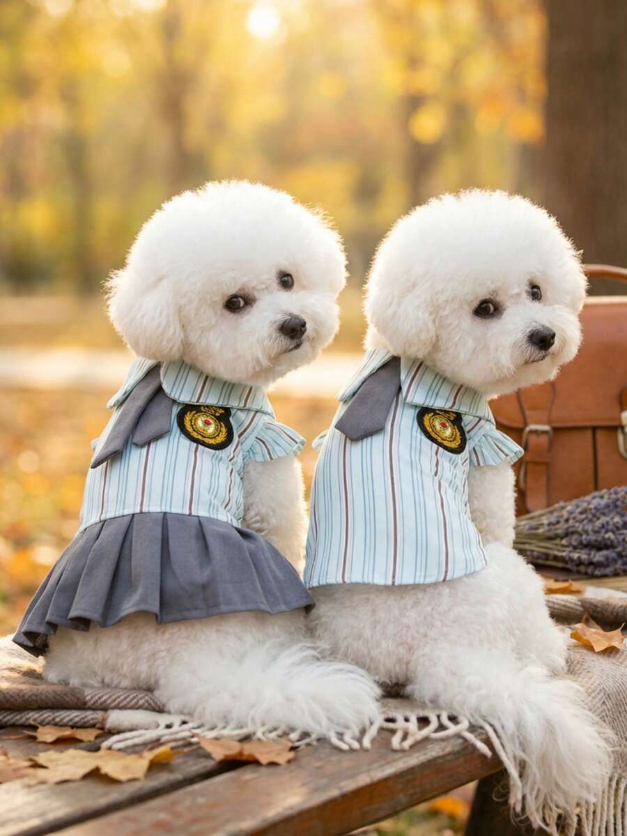 PETSIN 狗狗服装、猫咪服装、双腿宠物套装、情侣装、春季新款衬衫裙、狗狗服装、猫咪服装、动物服装、春季狗狗服装、欧美新款小型动物腿装