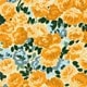 Pale Yellow