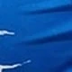 Blue and White