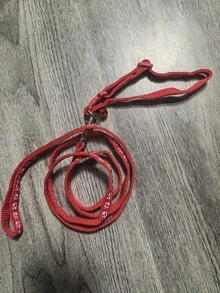 1件套小型犬猫项圈牵引绳套装，带铃铛，尺寸可调节，适合小型犬。 - 彩色 - 查看 16