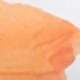 Coral Orange