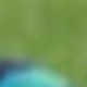 彩色