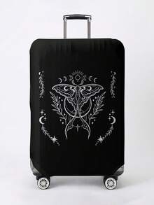 moth