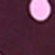 紫紅色