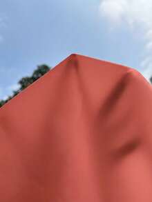 EMERY ROSE Solid Asymmetrical Neck Petal Sleeve Blouse - Redwood - View 8