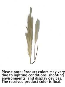 100/50/30/20/10/3/1 Faux Pampas Grass, Pompas, Pampas Grass, Pampas Grass For Floor Vase, Pampas Grass Decor For Vase Fillers, Boho Rustic Farmhouse Home Decor,Wedding Party Decor, Valentine's Day, Gift Gifts Birthday Graduation,Fall Decor,Autumn(97cm Is Suitable For Floor Vases, 55cm Is Suitable For Tabletop Vases.) - Beige - View 4