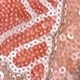 Coral Orange