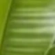 متعدد الألوان