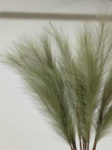 1 pezzo Erba di Pampas artificiale, soffice e morbida, fiore finto in plastica di colore verde oliva, pianta artificiale boho per decorazione di vasi, casa, fattoria, matrimonio, autunno, soggiorno, tavolo del raccolto, decorazione natalizia, un must have - Verde Oliva - Visualizzare 4
