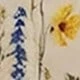 Multicolor