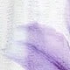 Mauve Purple