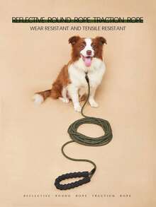 Pet Training Rope, Lightweight Leash Preventing Escaping For Outdoor Walking - Army Green - View 6