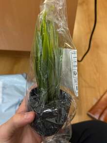 1Pc Green Artificial Small Potted Simulation Plant Potted Plastic Artificial Potted Mini Faux Plant In Black Pot Suitable For Home Indoor Office Dining Table Farmhouse Courtyard Bathroom Decoration - Black - View 9