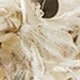 Blanco roto