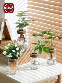 Haus Hana 高硼硅玻璃透明直筒软木盖水培植物瓶，简约厚实桌面盆栽瓶，简约透明山景杯，透明厚实直筒植物瓶配天然软木盖，极简日式桌面生态瓶，多肉植物水培容器，现代家居办公室装饰，客厅窗台植物繁殖器，独特的乔迁礼物。 - 多色 - 查看 1